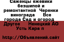 Саженцы ежевики безшипой и ремонтантной. Черенки винограда . - Все города Сад и огород » Другое   . Ненецкий АО,Усть-Кара п.